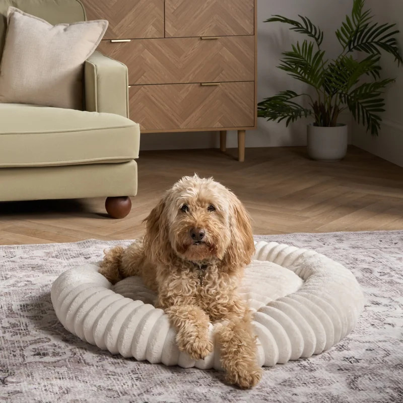 onlinehomeshop103919