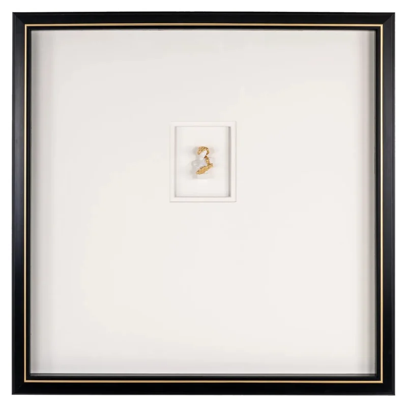 otelloshome169301