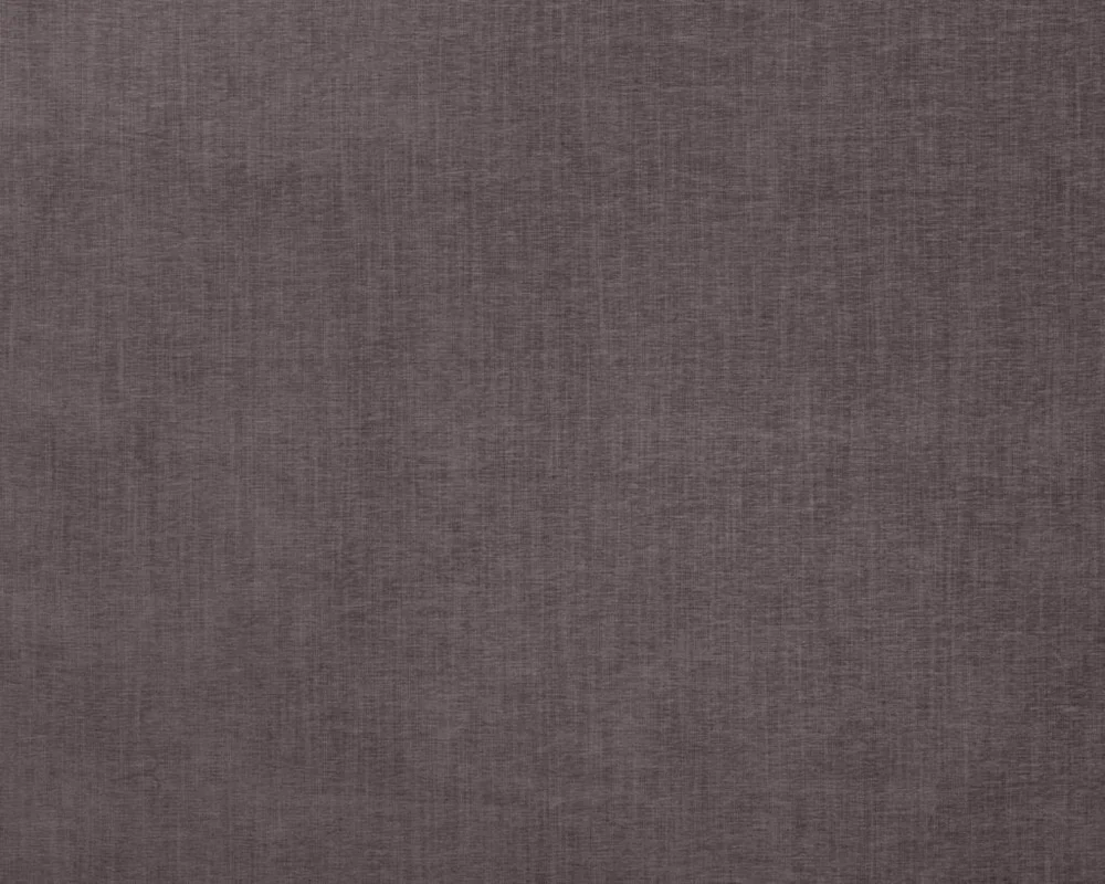 thelightcompany110532