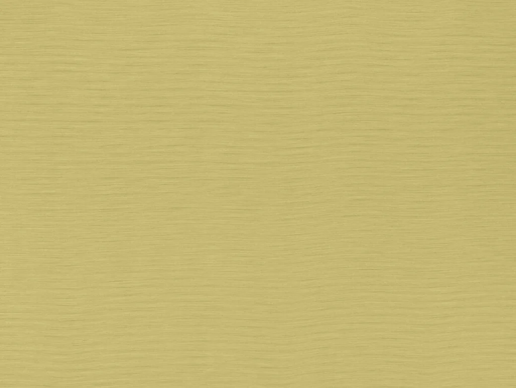 thelightcompany113936