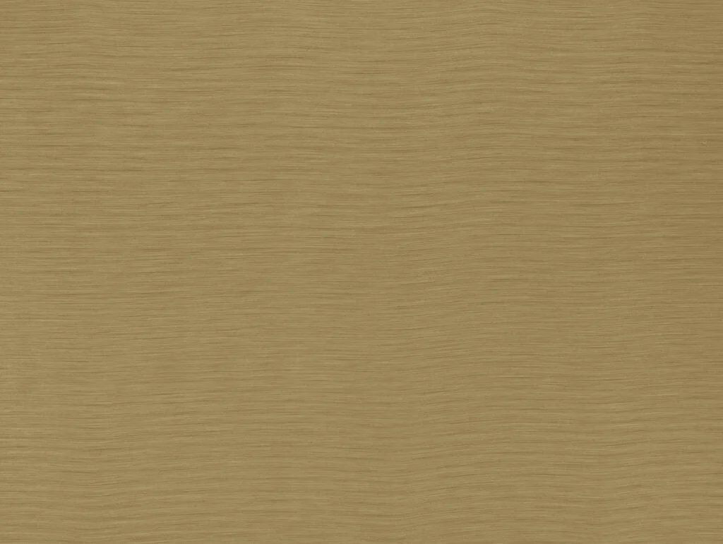 thelightcompany114038