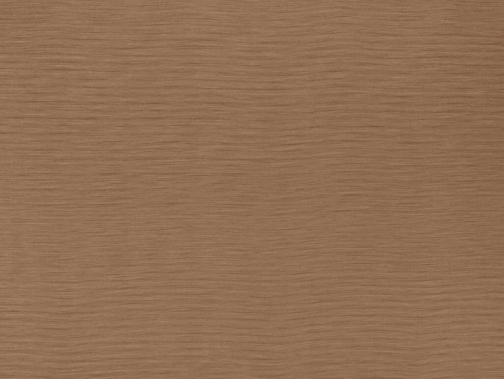 thelightcompany114136